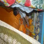 Vraj-Yatra-2014- (416)